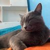 jonathan_el_digit