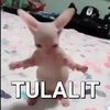 kirulajam5