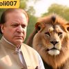 m.asif0192