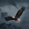 eaglemindset70