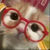 xlnhattiktok