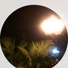 mdhasan.2446