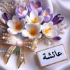 aisha.reda27