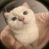 sern_05092557