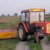 olek_ze_wsi