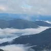 thanhvan150708