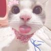 otakku_aj