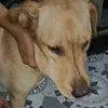 anhbakhiadepzai