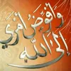 user8170596919359