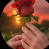 alyan3756
