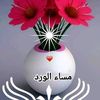 user84435553035455