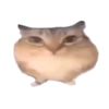 funduck_malinoviy