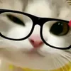 siphielletobeh