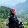 (Mai Thơm) Chuyện Vùng Cao