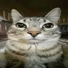 brandon_030_