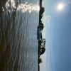 madiparks_4