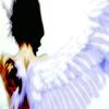 rara_x23