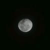 samy_0292
