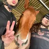 _evaxannita.maneggio_