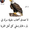 user558580367268