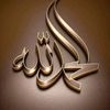 user1080061