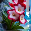 souad.yasser6