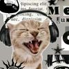 kediystory