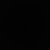 for_i8