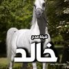 user9010036936635