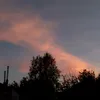 ttbirexi