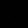 dynn1308