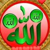 kedir7697