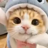 pretty_lyn71