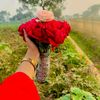 bibi.moriom67