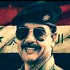 abdul.razzaq0091