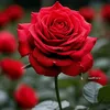 user9318811924684