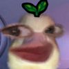 haetbitjayi7