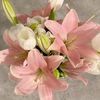 sherly_you
