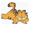 itsyourboygarfield1