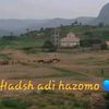 wedidebsh25