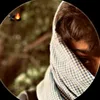 alialialiali5295