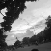 dncd09731