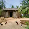 meohoang3688