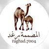 raghad.7004