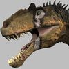 broken.jaw5