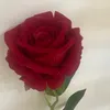 user11101650773846