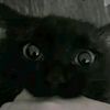 goober12879