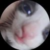 peppercat81