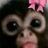 mayssa_az12