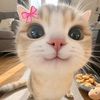 mww885